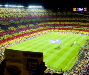 新手入门指南：宝威体育