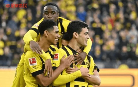 -南特遭遇主场失利，保级形势愈发严峻的简单介绍